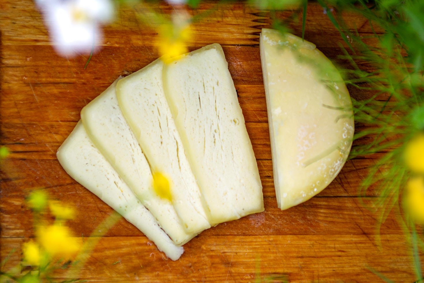Historia del queso manchego: un viaje culinario