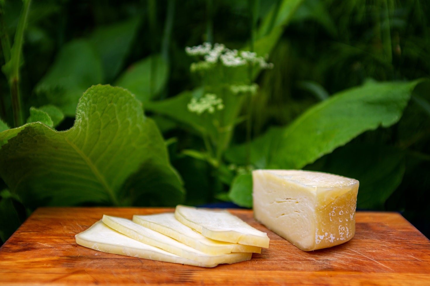 Comparando las variedades de queso manchego